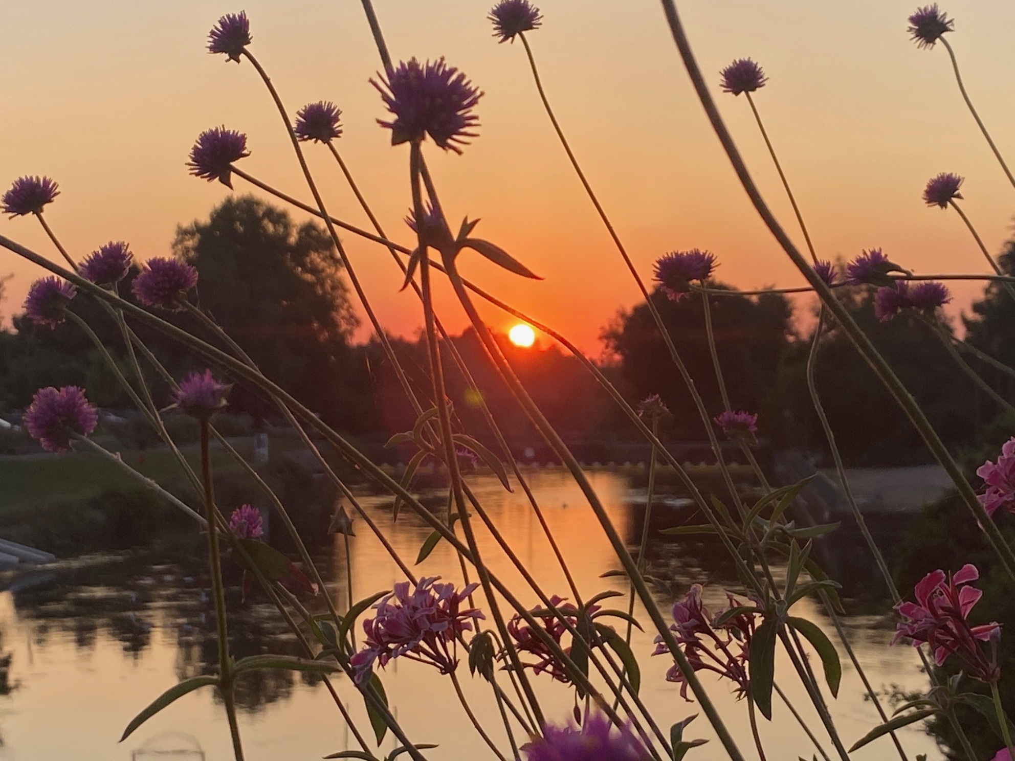 Sonnenuntergang in St. Louis
