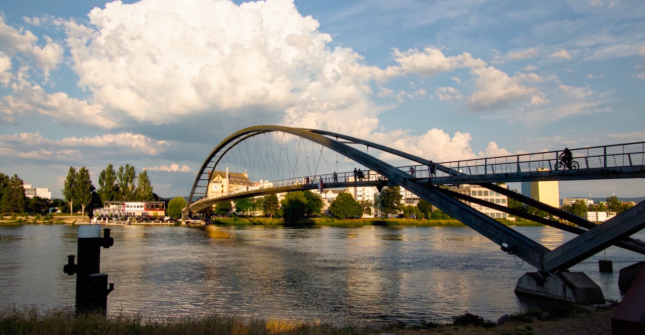 Basel by Bike: Dreiländerbrücke